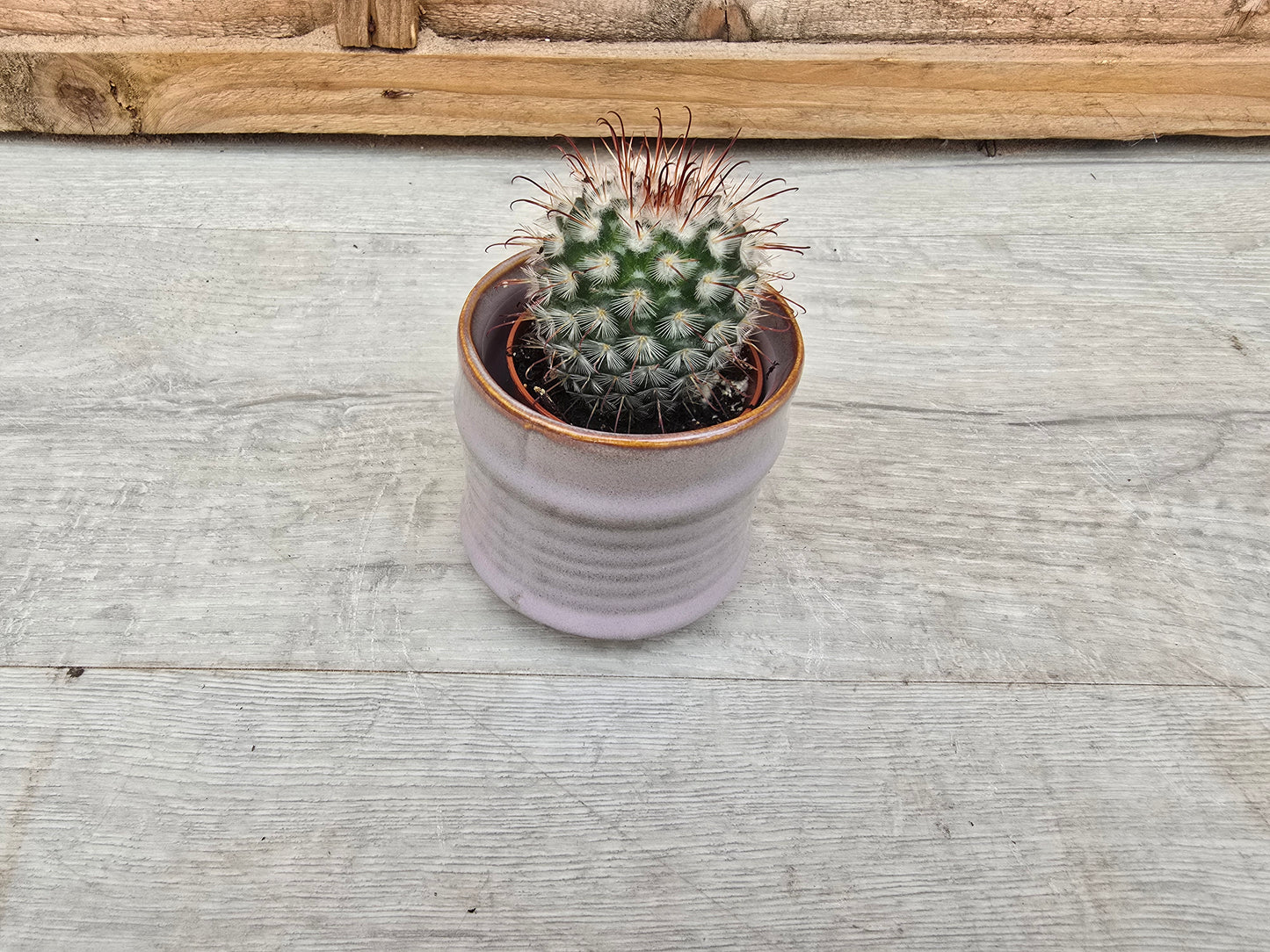 5.5cm Pastel Lavender Decorative Pot