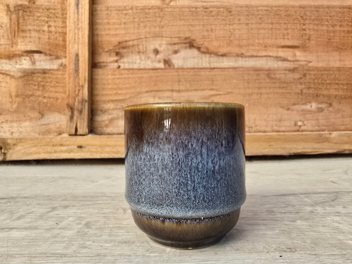5.5cm Suez Thunder Blue Pot with Succulent