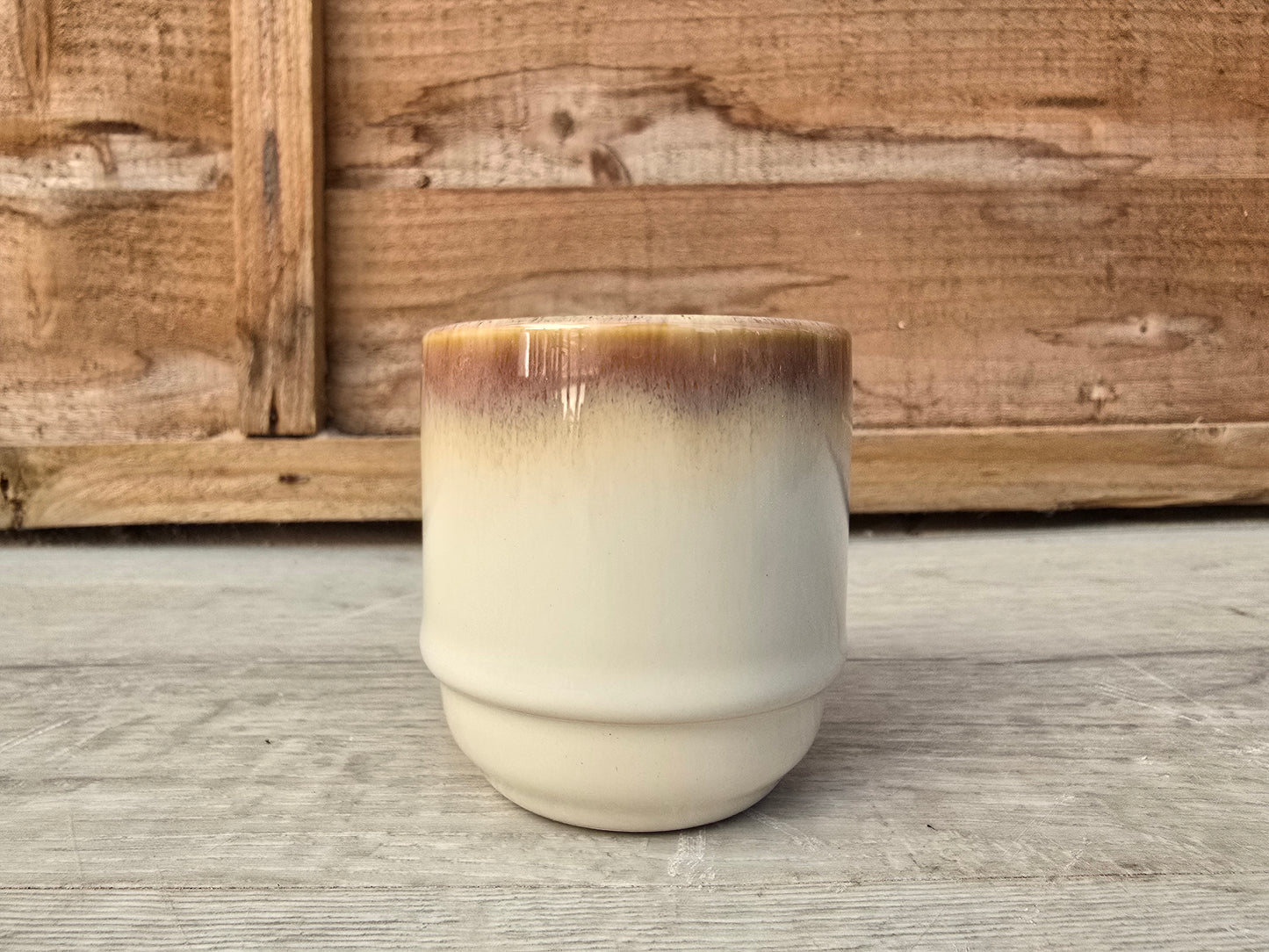 5.5cm Suez Cappuccino Pot with Cactus