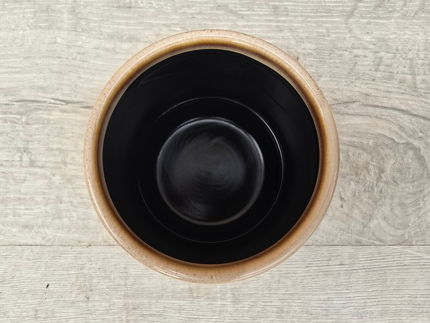 8.5cm Cappuccino Suez Decorative Pot with Drop-In Succulent