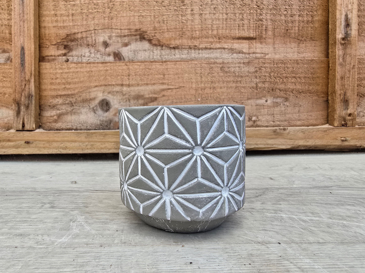 5.5cm Grey Star Pot with Drop-In Cactus