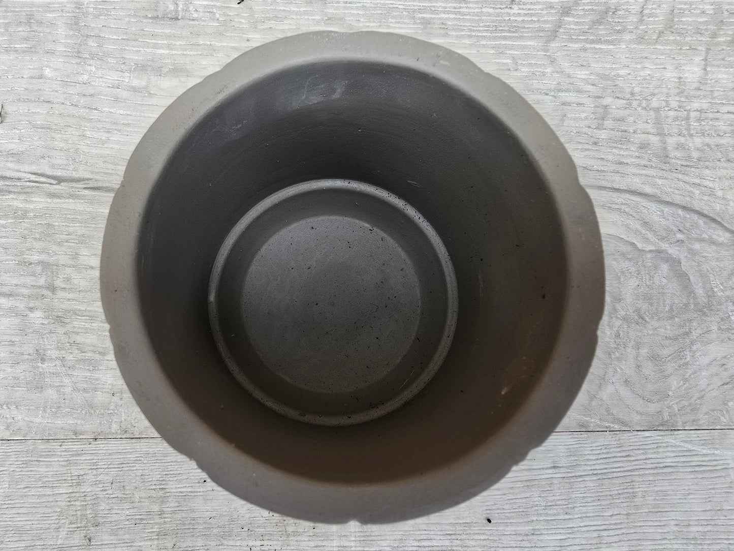8.5cm Grey Star Pot with Drop-In Succulent