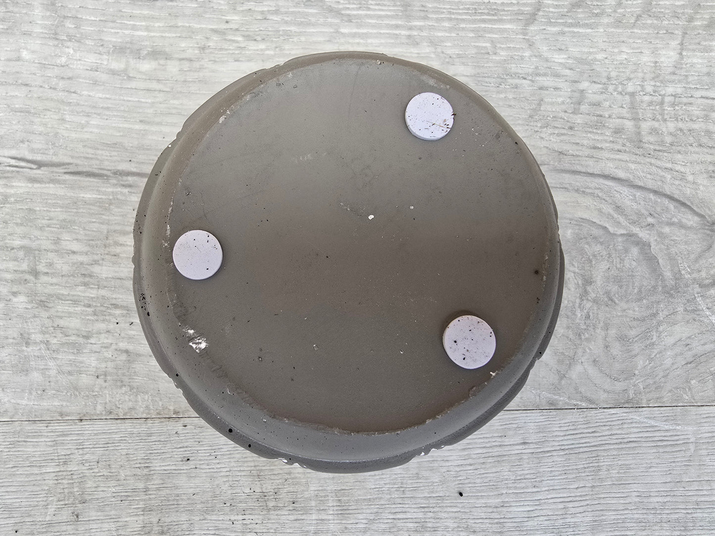 8.5cm Grey Star Pot with Drop-In Succulent