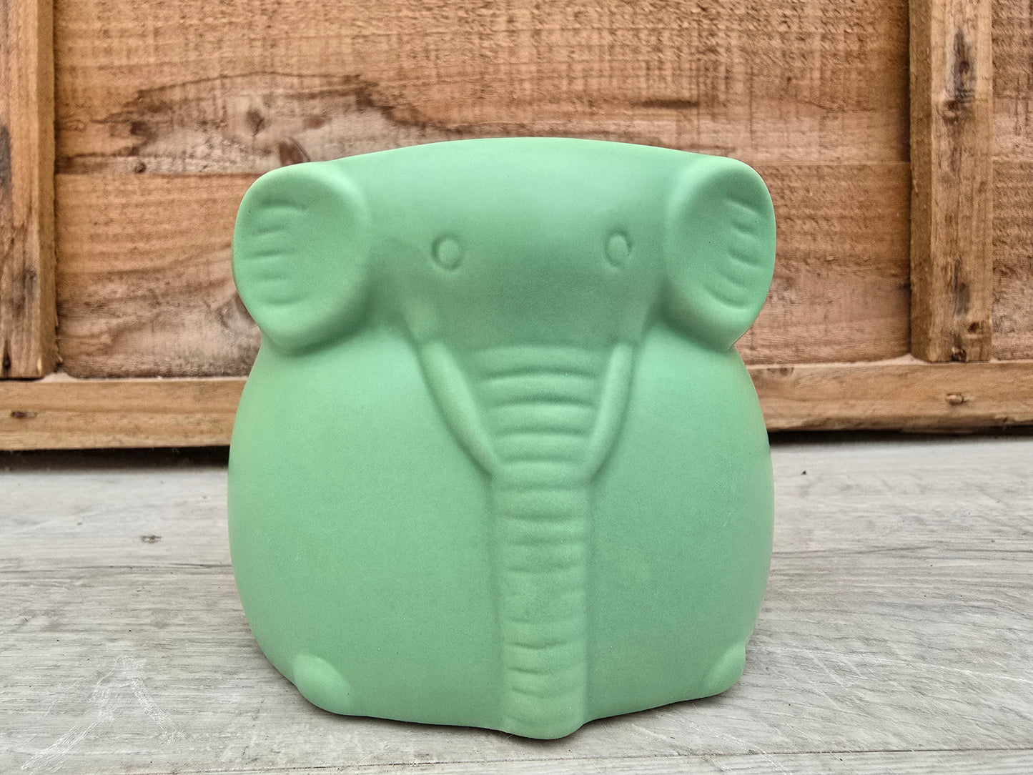 8.5cm Grassland Green Elephant Pot with Drop-In Succulent
