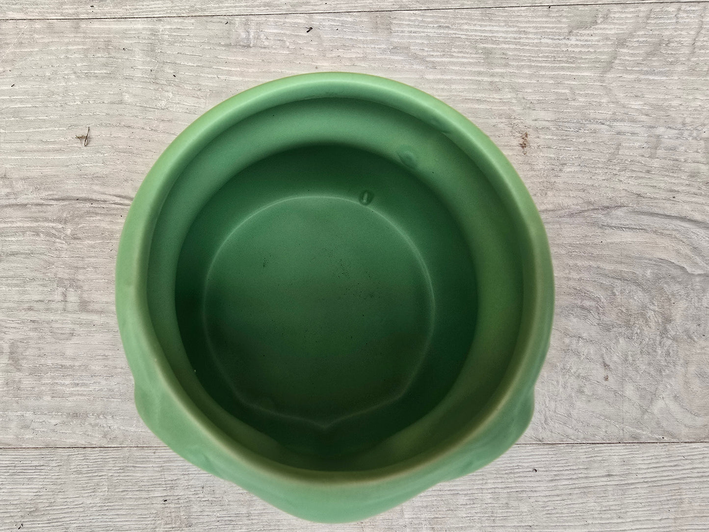 8.5cm Grassland Green Elephant Pot with Drop-In Succulent
