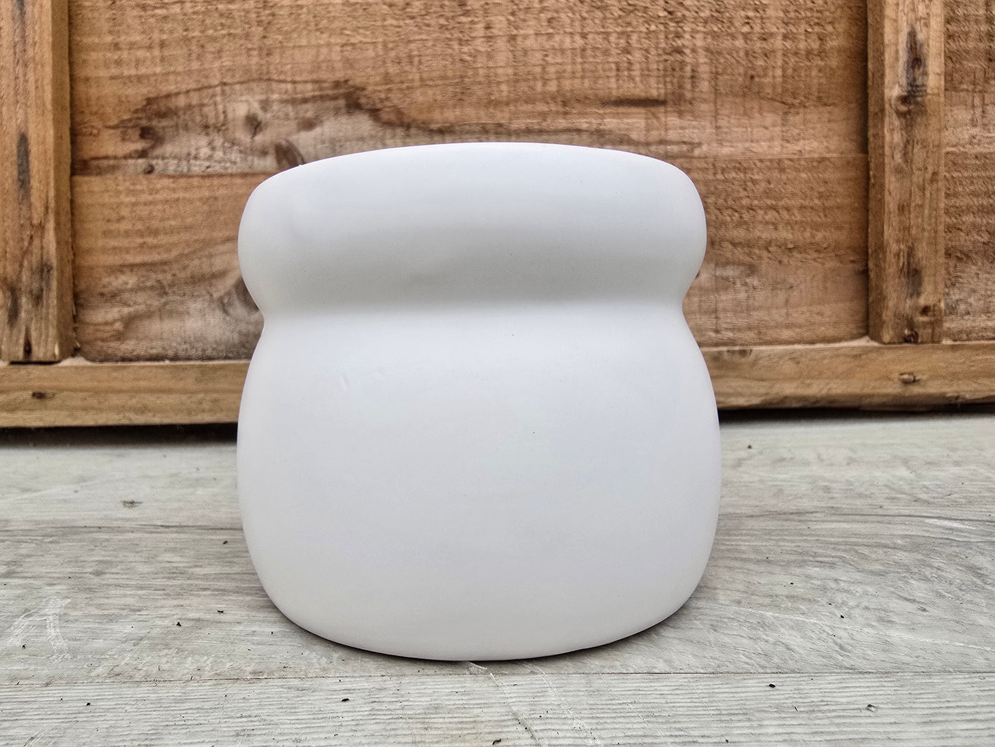 8.5cm Ivory White Elephant Pot with Drop-In Cactus