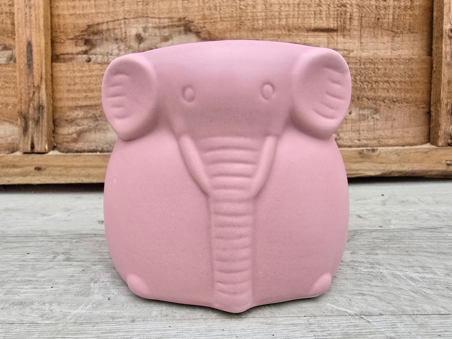 8.5cm Savanna Pink Elephant Pot with Drop-In Cactus