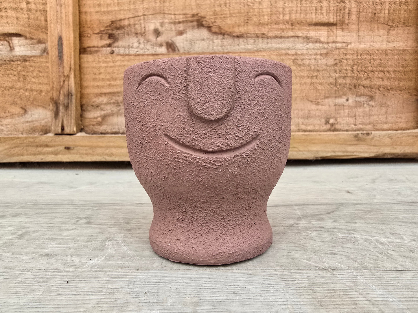 5.5cm Egg Cup Face 'HeHe' Sandy Pink Pot with Drop-In Succulent