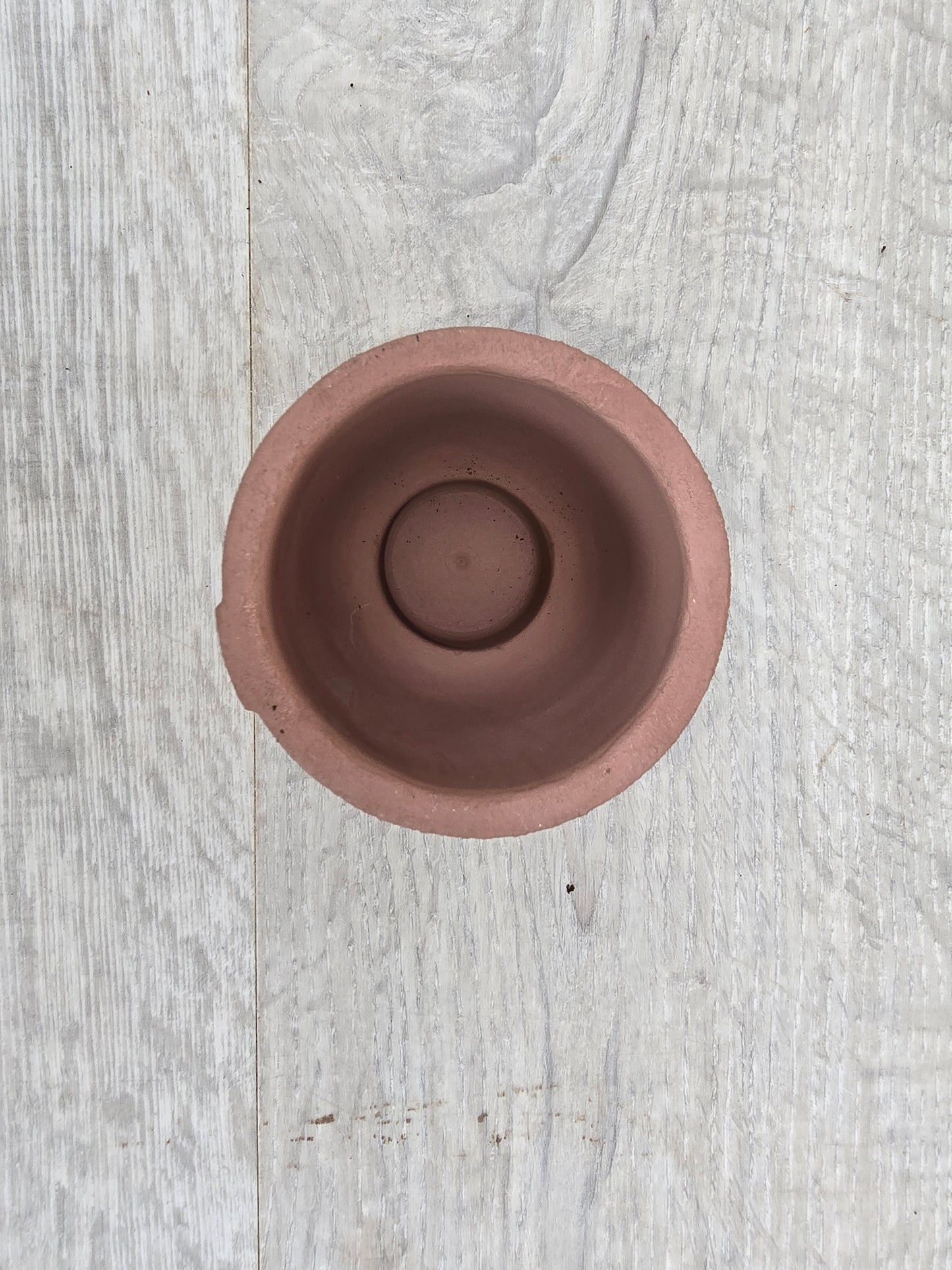 5.5cm Egg Cup Face 'HeHe' Sandy Pink Pot with Drop-In Succulent