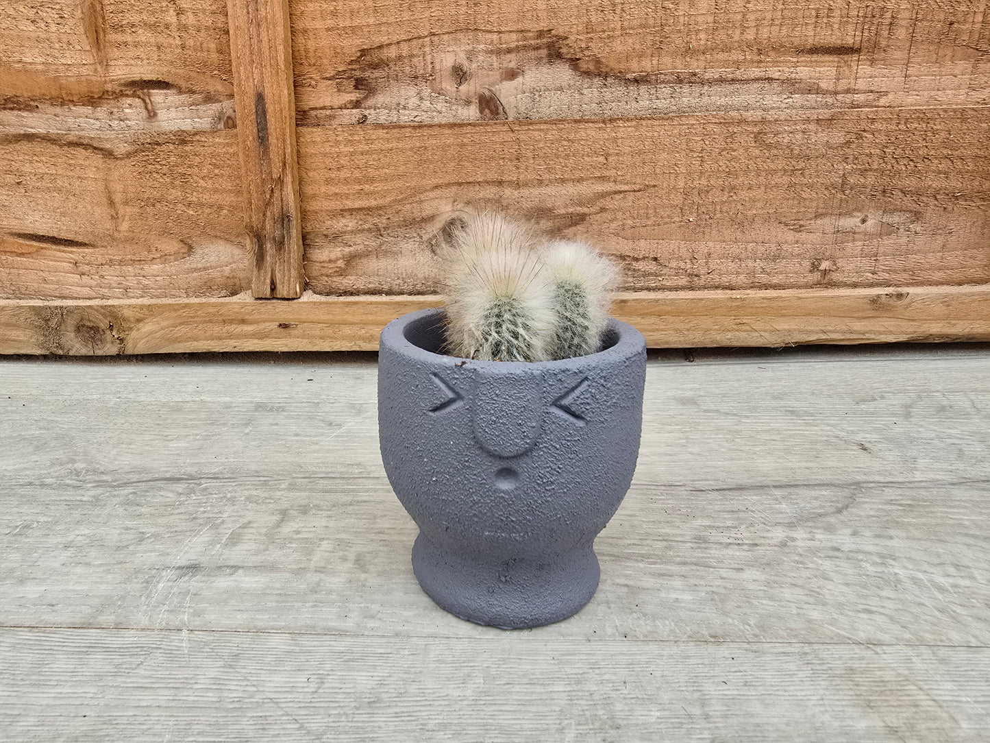 5.5cm Egg Cup Face 'Oooh' Blue Pot with Drop-In Cactus