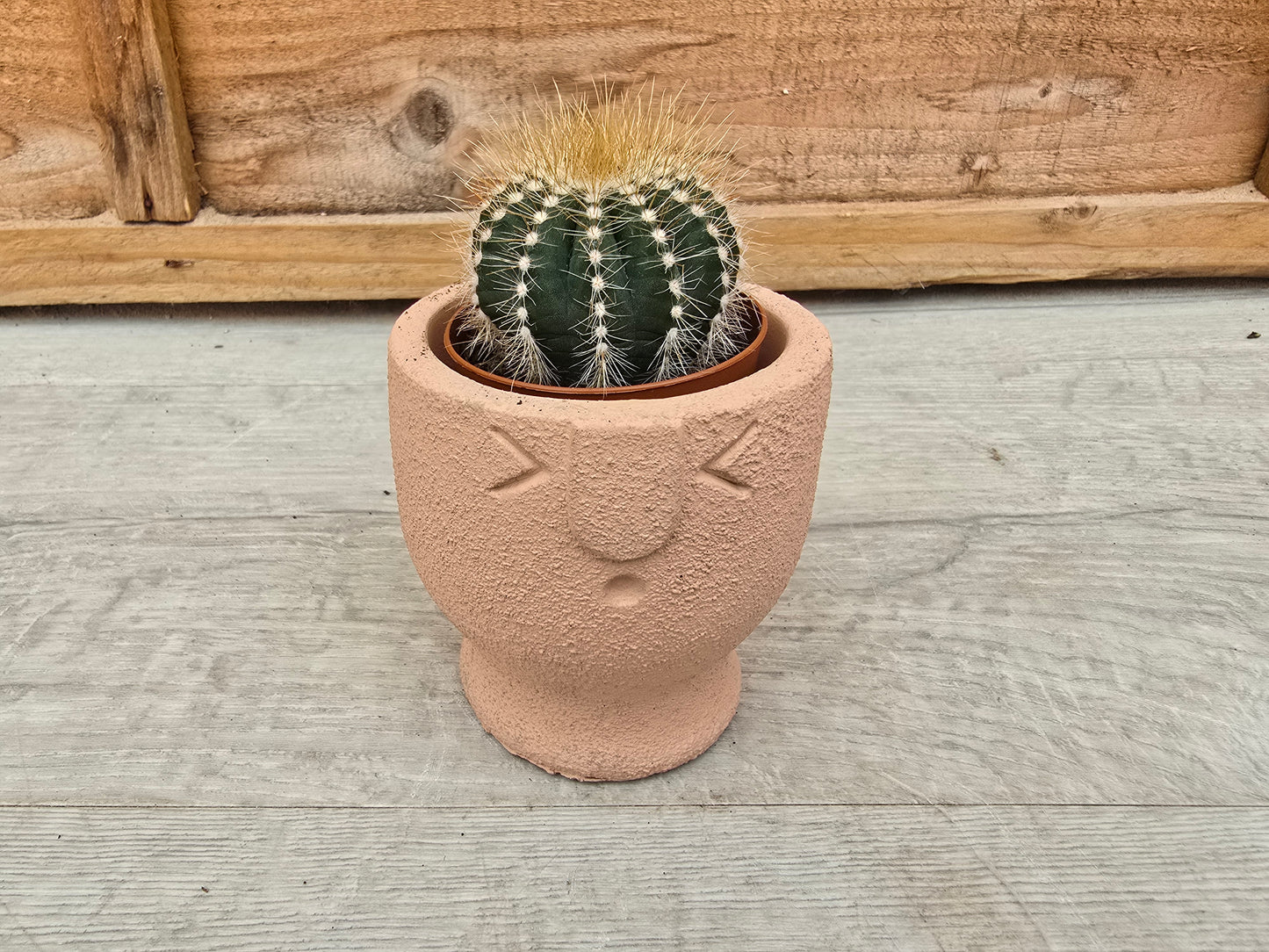 5.5cm Egg Cup Face 'Oooh' Peach Pot with Drop-In Cactus