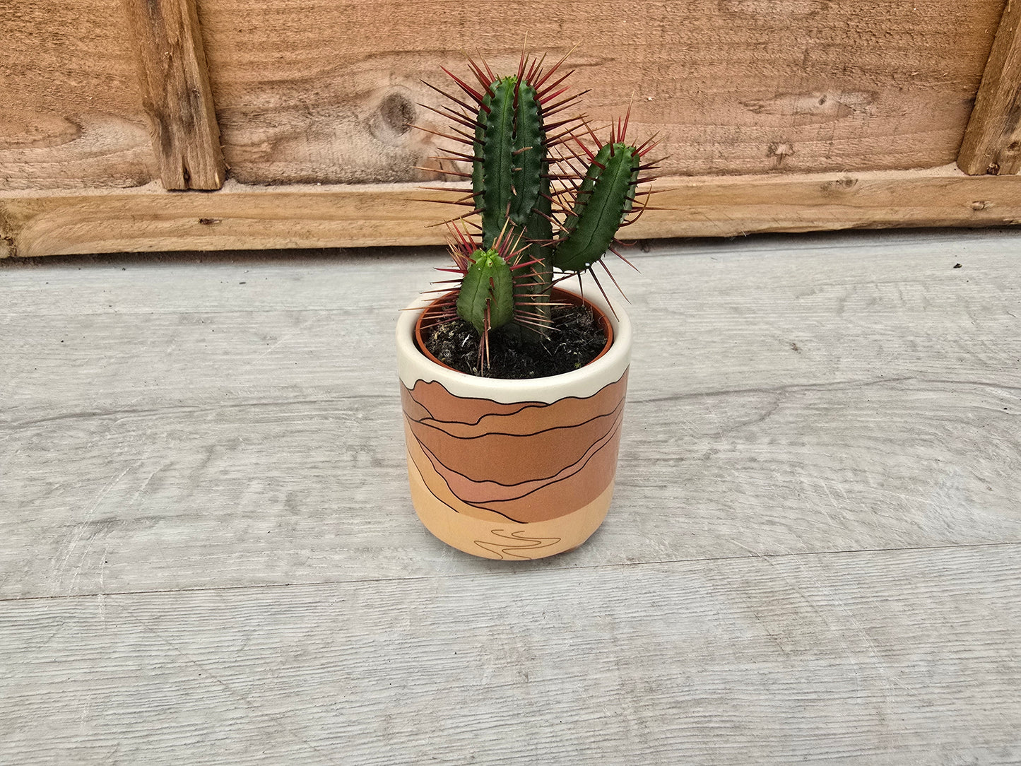 5.5cm Atacama Empty Pots