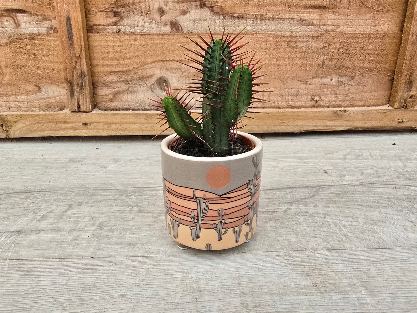 5.5cm Atacama Empty Pots