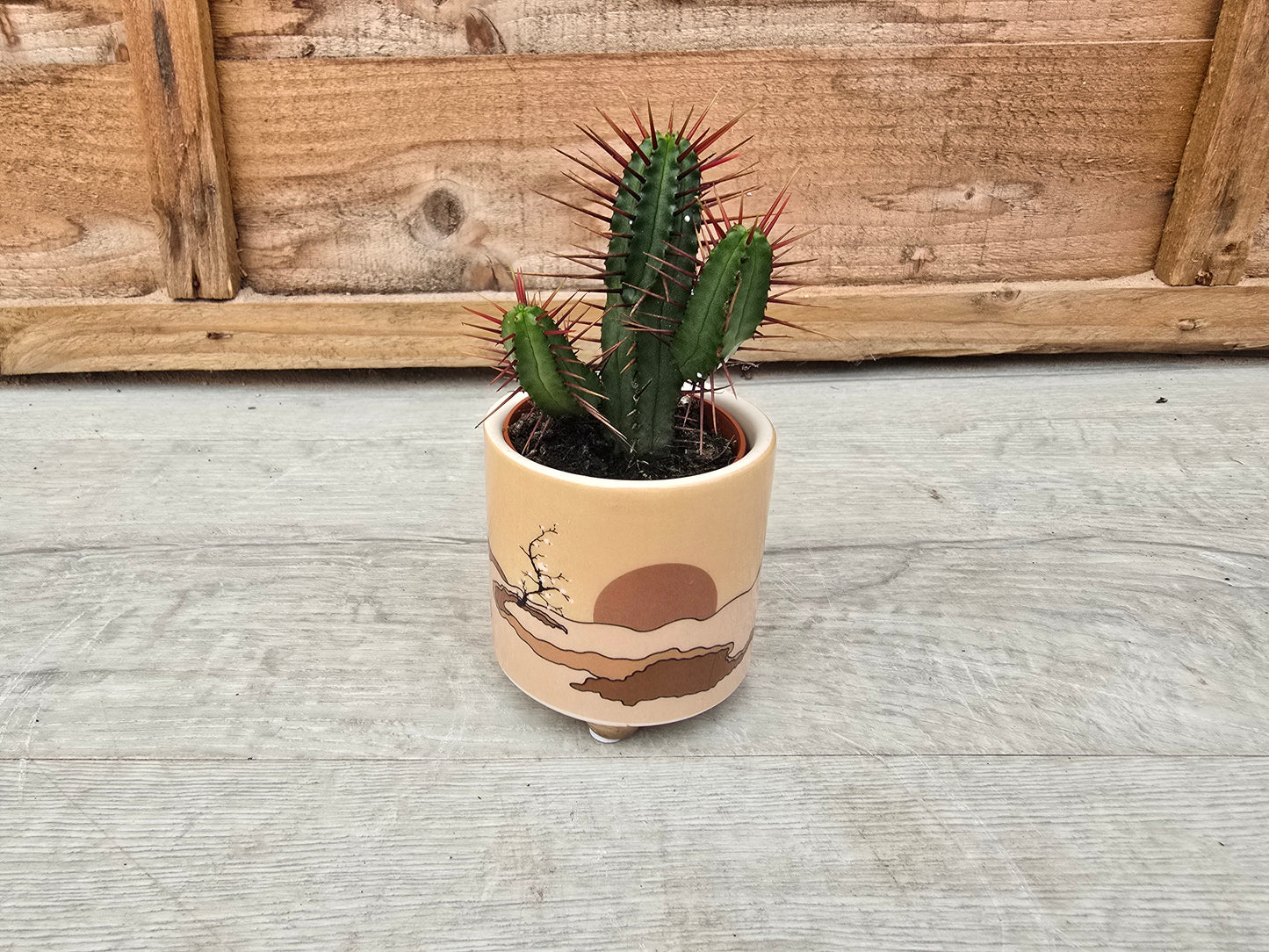 5.5cm Atacama Empty Pots