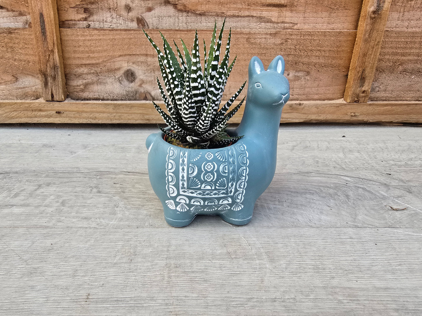 5.5cm Alpaca Blue Decorative Pot