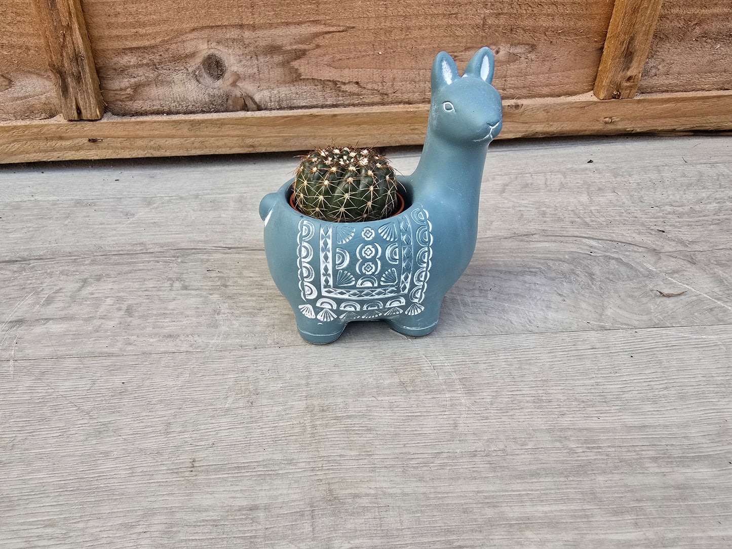 5.5cm Blue Alpaca Pot with Cactus
