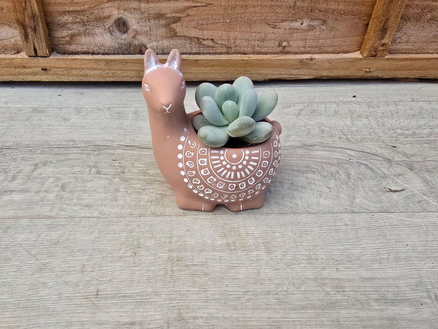 5.5cm Alpaca Terracotta Decorative Pot