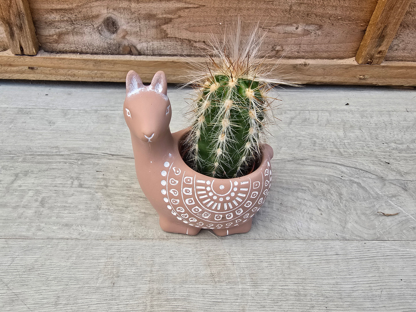 5.5cm Alpaca Terracotta Decorative Pot