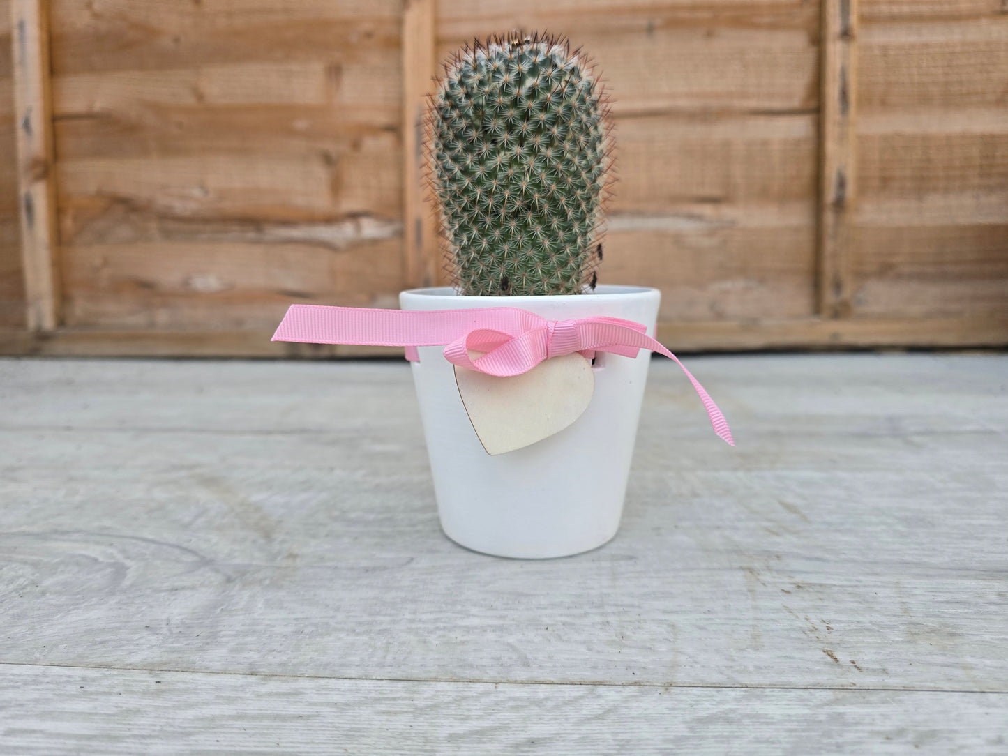 8.5cm Pink Ribbon Pot