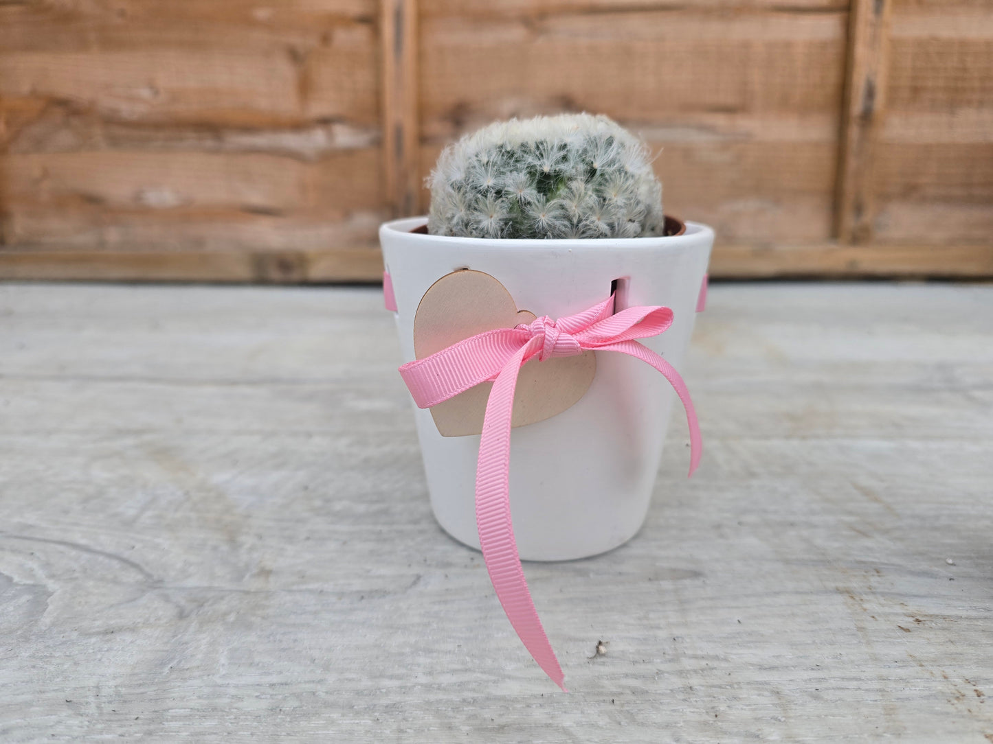 8.5cm Pink Ribbon Pot
