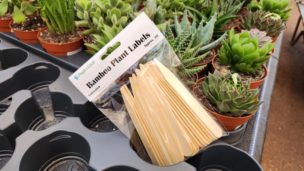 Approx. 20 Untreated Bamboo Plant Labels