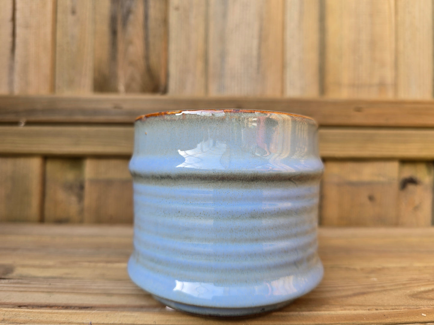 8.5cm Blue Pastel Pot with Drop-In Cactus