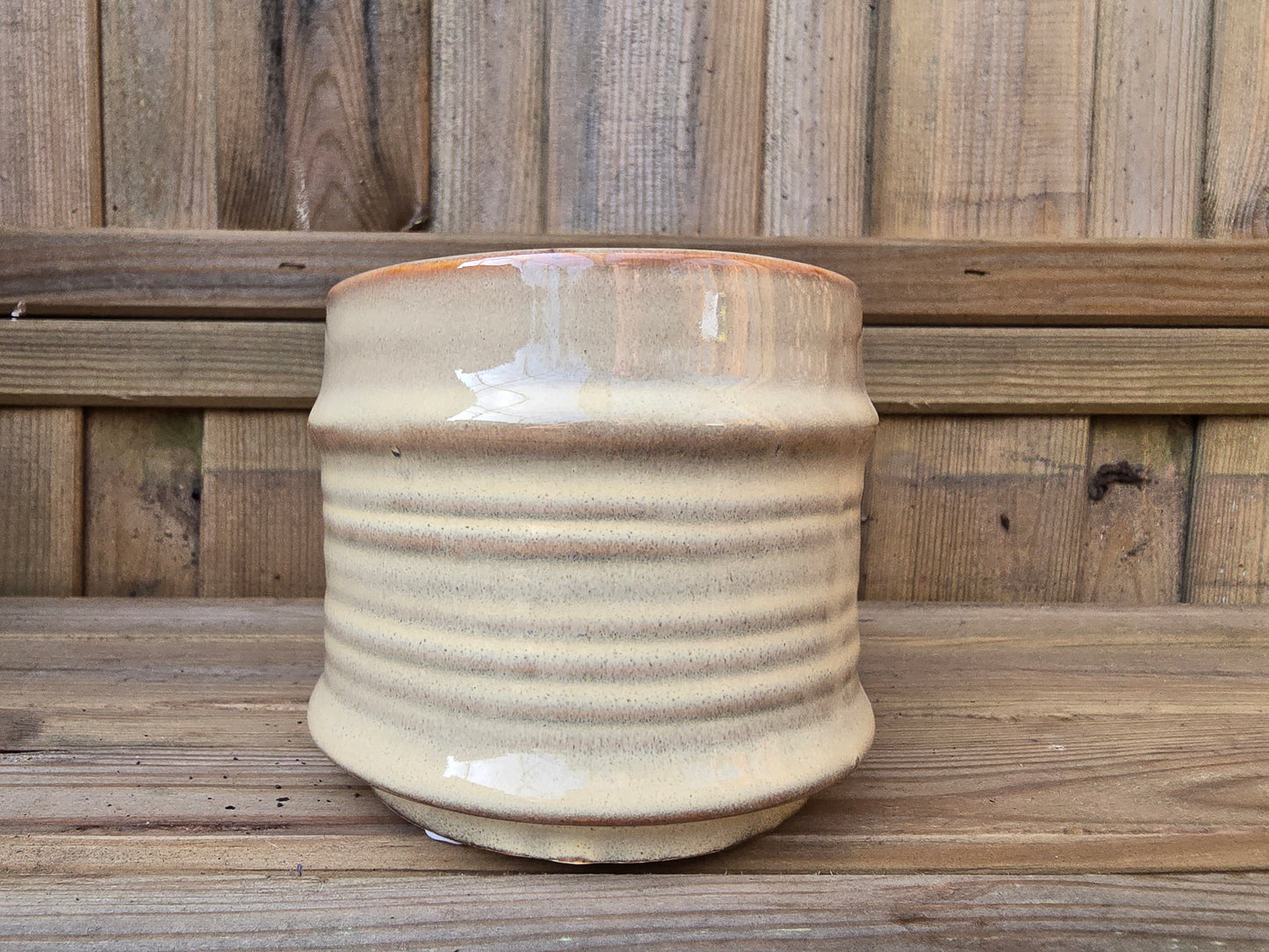 8.5cm Cream Pastel Pot with Drop-In Succulent