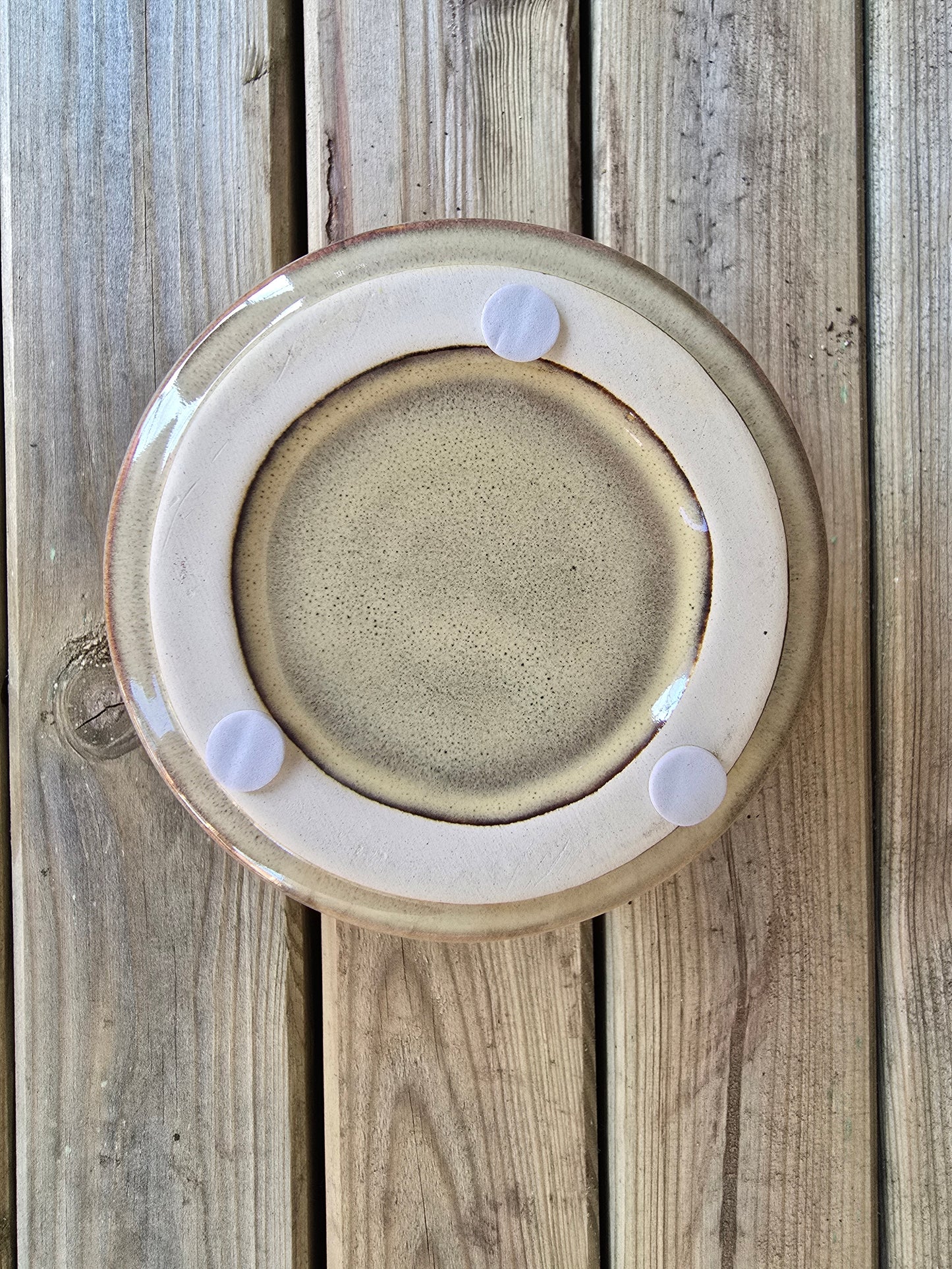 8.5cm Cream Pastel Pot with Drop-In Succulent