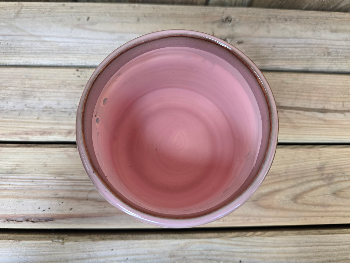8.5cm Pink Pastel Pot with Drop-In Cactus