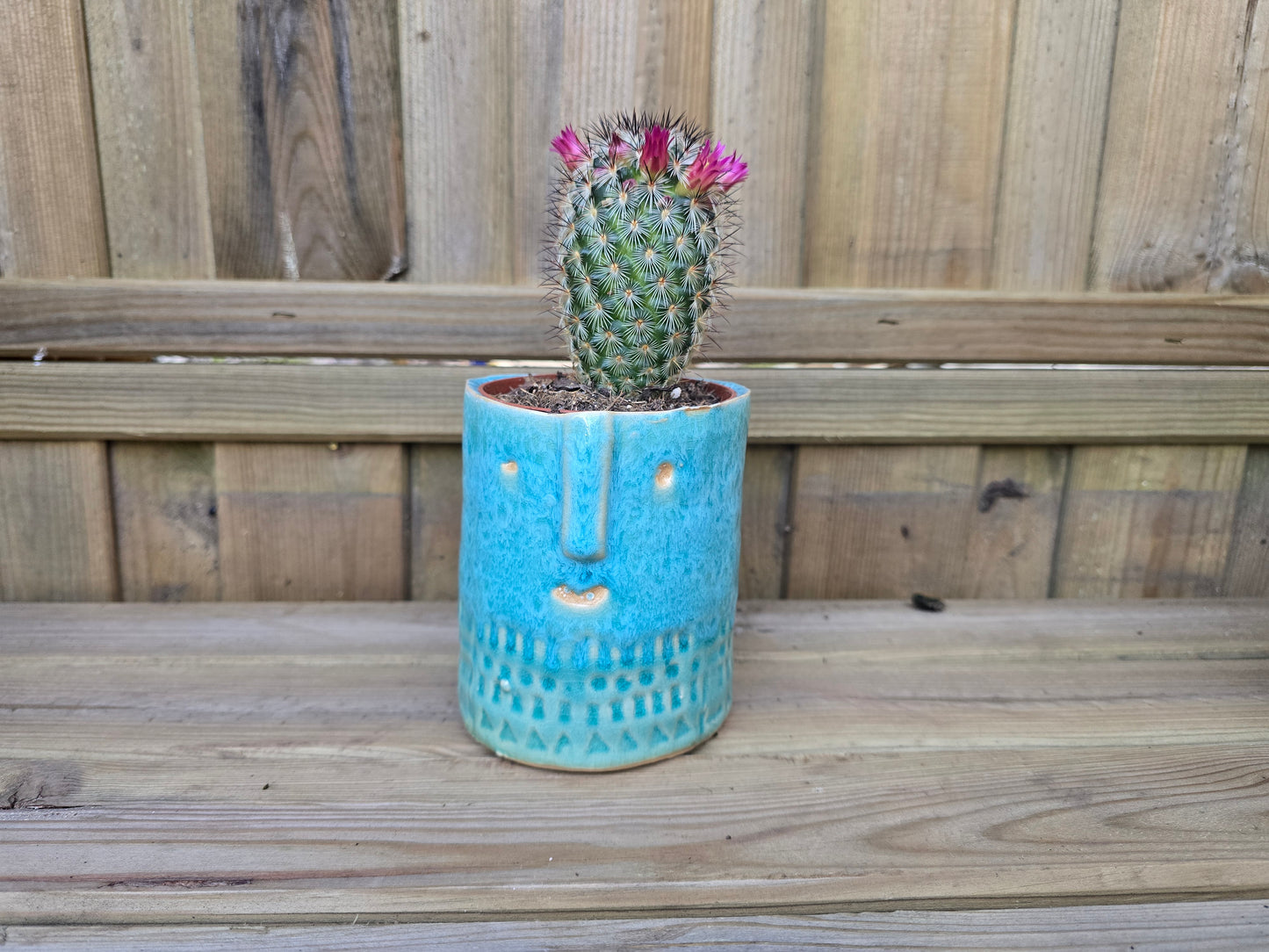 8.5cm Sea Blue Zamora Face Pot with Drop-In Cactus