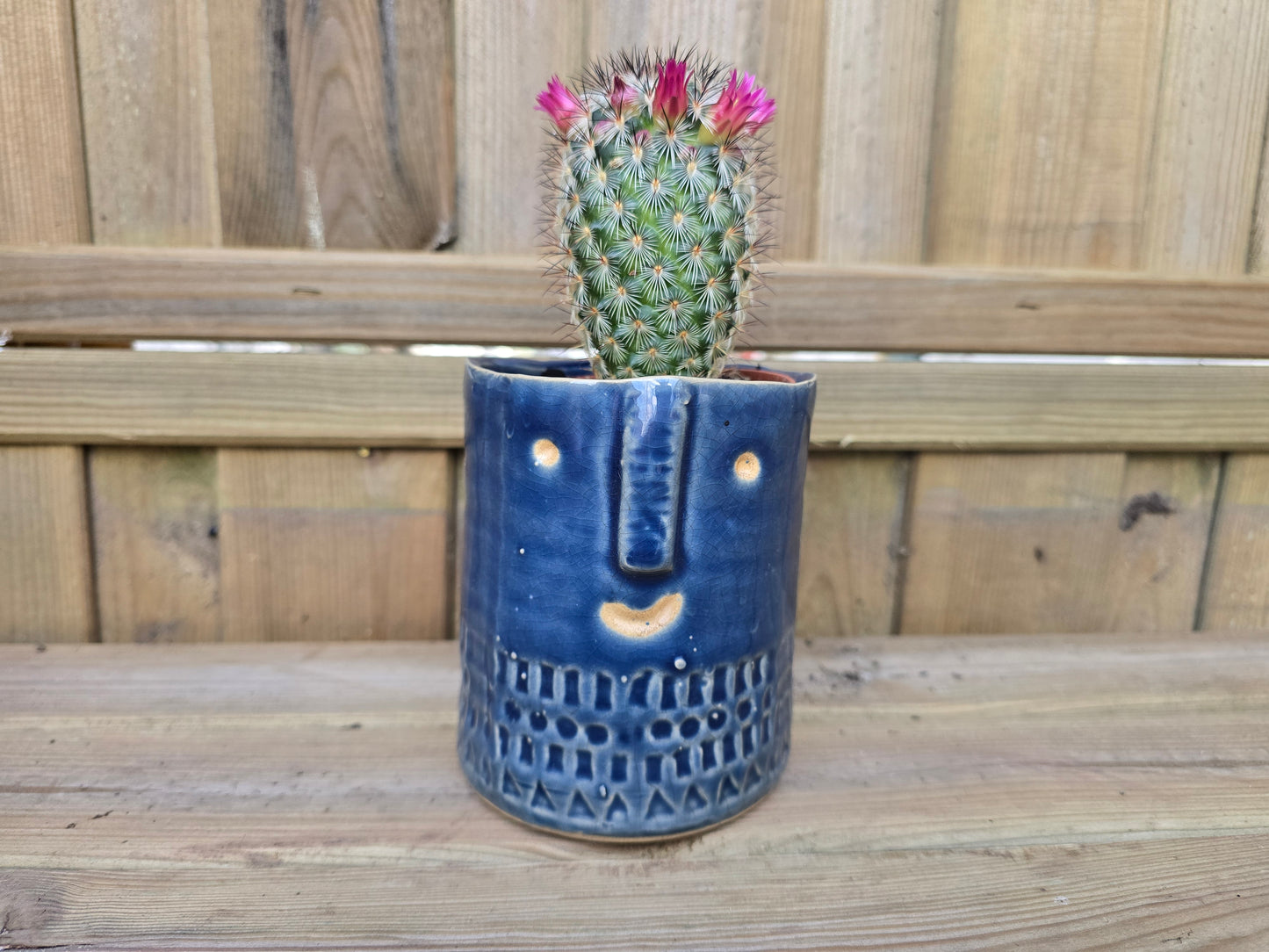 8.5cm Navy Blue Zamora Face Pot with Drop-In Cactus