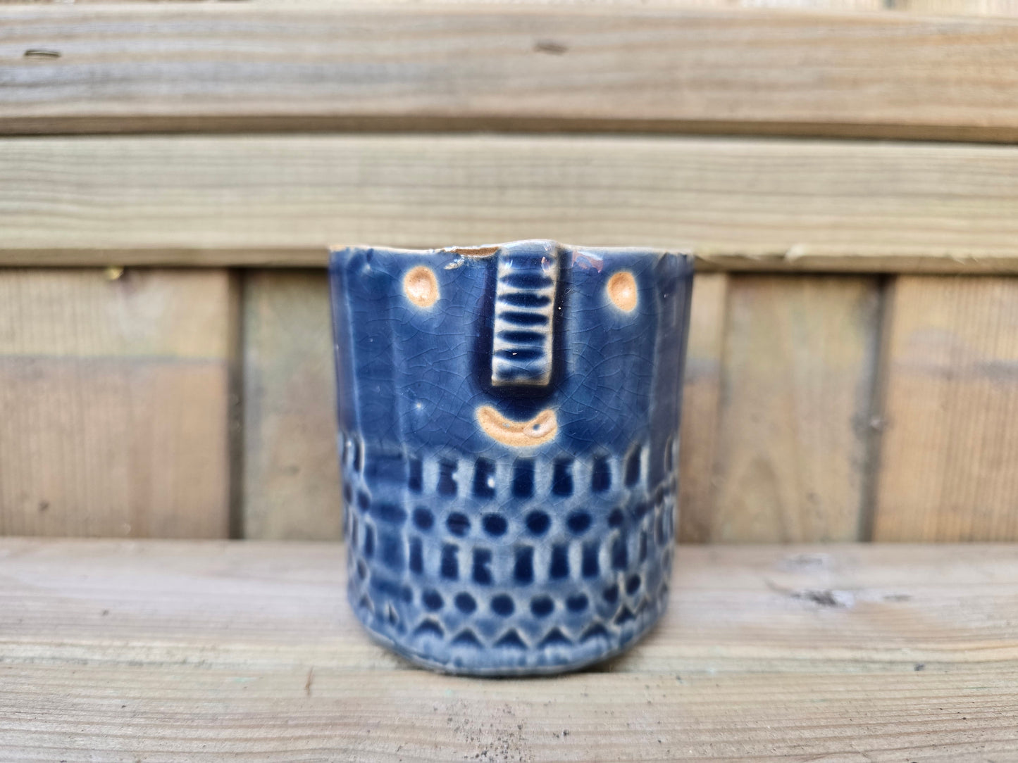 5.5cm Zamora Navy Blue with Drop-in Succulent