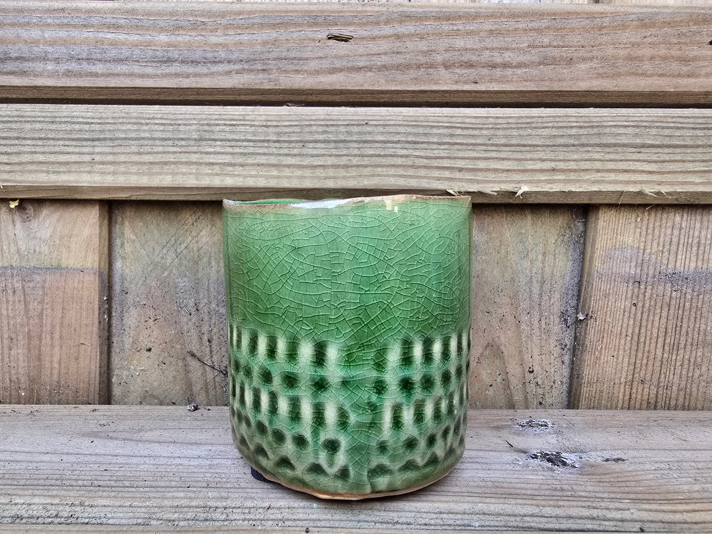 5.5cm Zamora Green with Drop-in Succulent