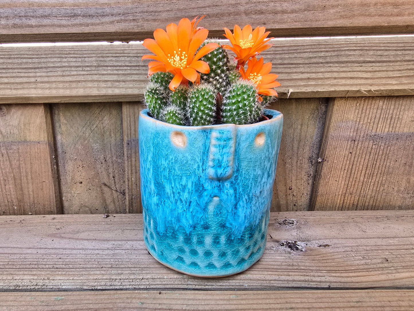 5.5cm Sea Blue Zamora Face Pot Empty