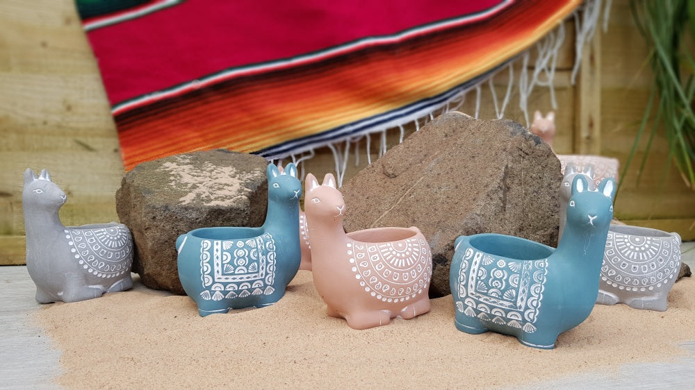 5.5cm Alapaca Decorative Pots