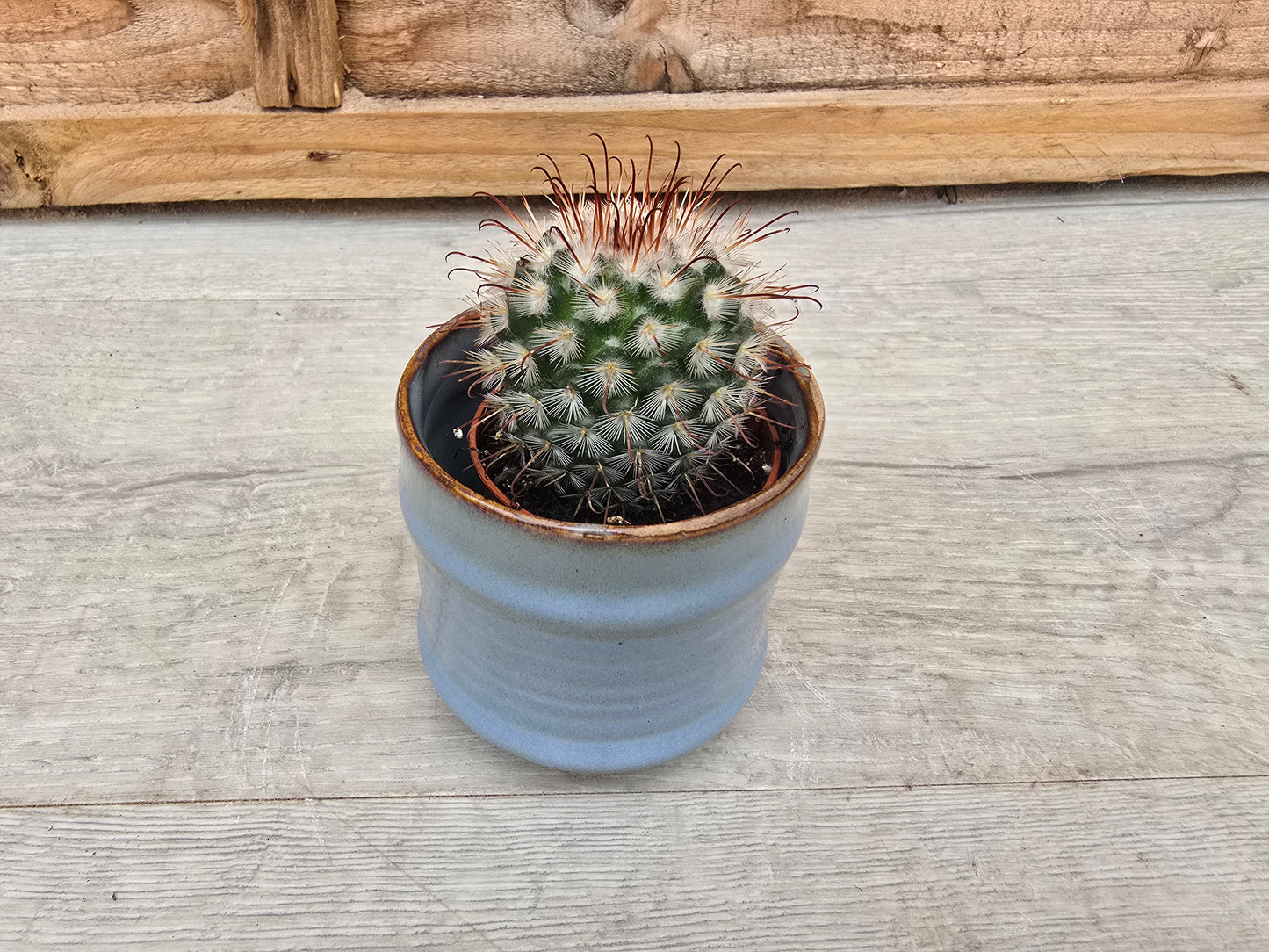 5.5cm Pastel Blue Decorative Pot