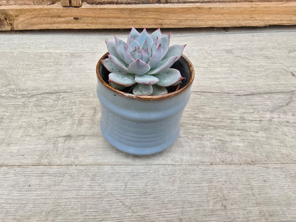 5.5cm Pastel Blue Decorative Pot