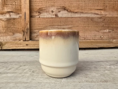 5.5cm Suez Cappuccino Pot with Succulent