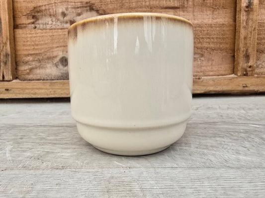 8.5cm Cappuccino Suez Decorative Pot with Drop-In Succulent