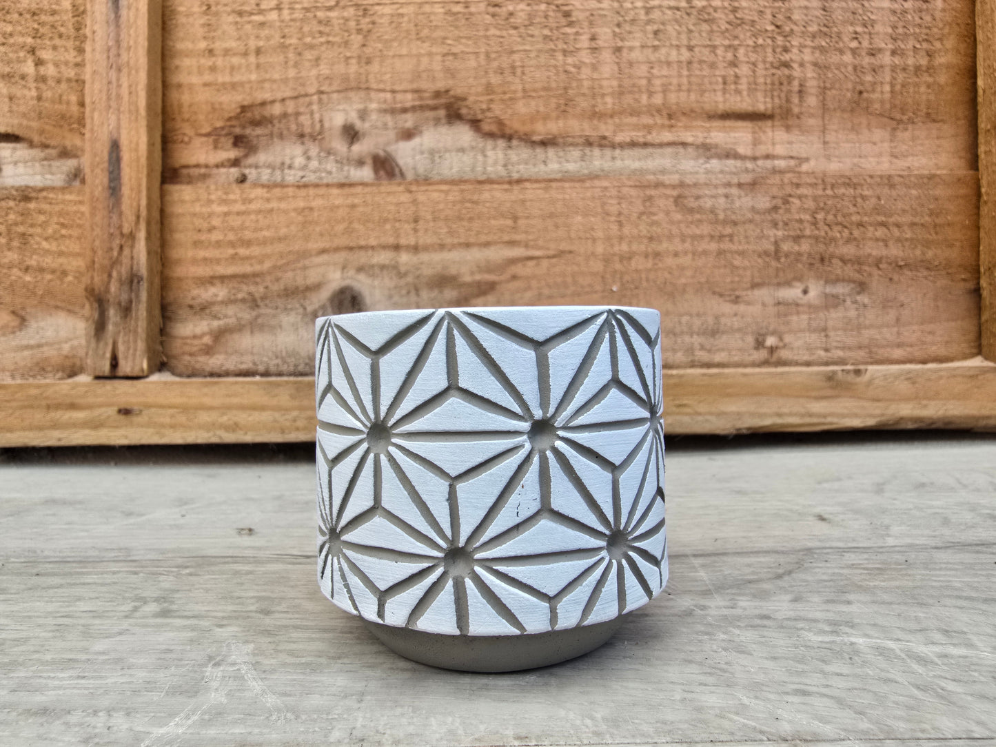 5.5cm White Star Pot with Drop-In Cactus