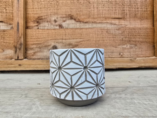 5.5cm White Star Pot with Drop-In Succulent