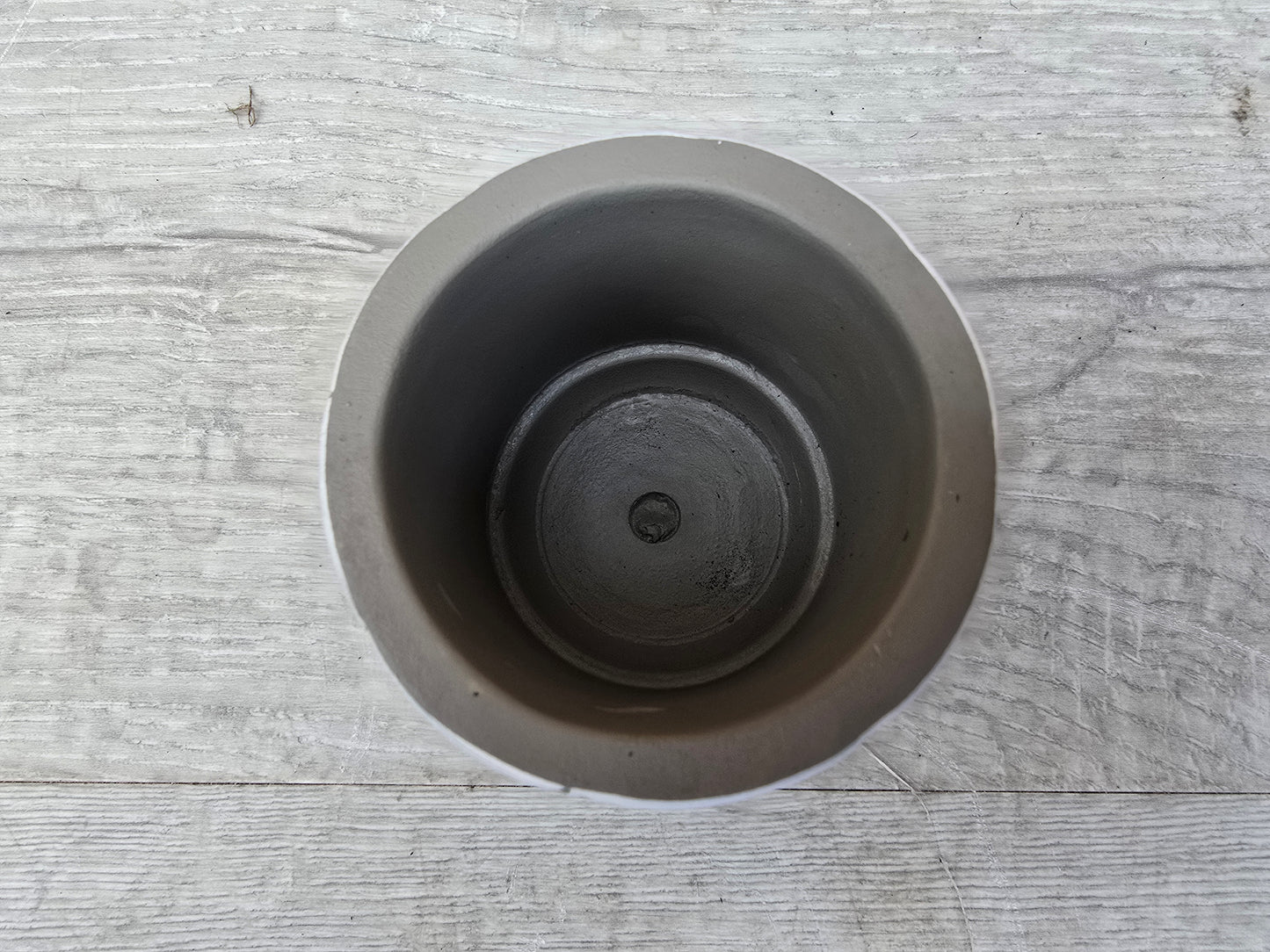 5.5cm White Star Pot with Drop-In Cactus