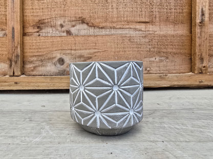 5.5cm Grey Star Pot with Drop-In Cactus
