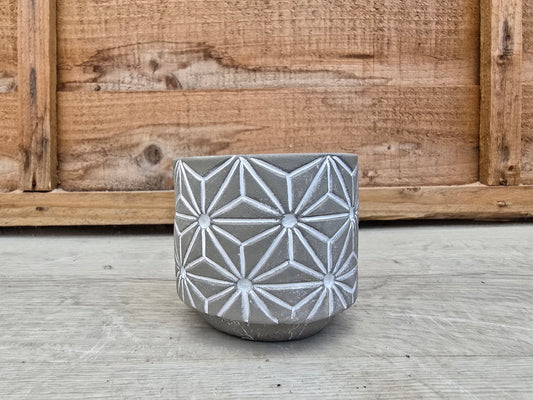 5.5cm Grey Star Pot with Drop-In Cactus