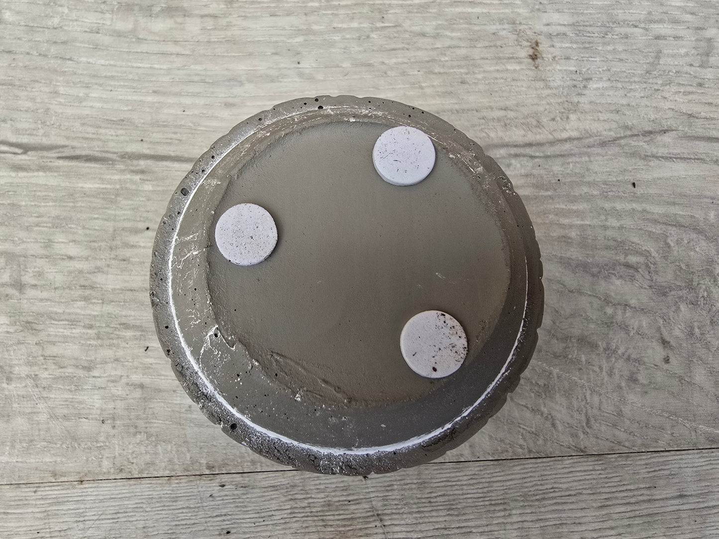 5.5cm Grey Star Pot with Drop-In Cactus