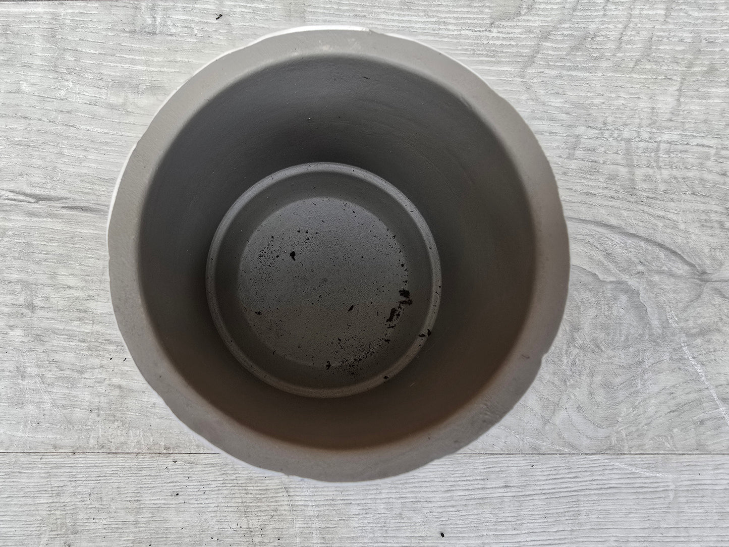 8.5cm White Star Pot with Drop-In Cactus
