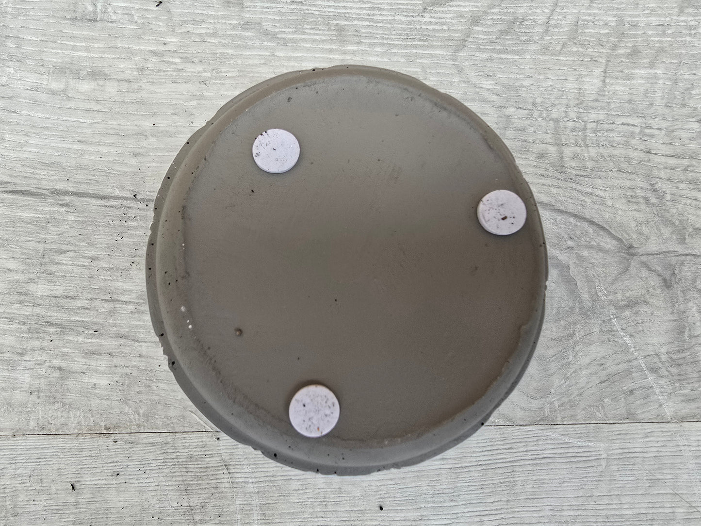 8.5cm White Star Pot with Drop-In Cactus