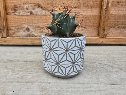 8.5cm White Star Pot with Drop-In Cactus