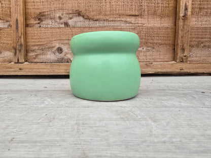 8.5cm Grassland Green Elephant Pot with Drop-In Cactus