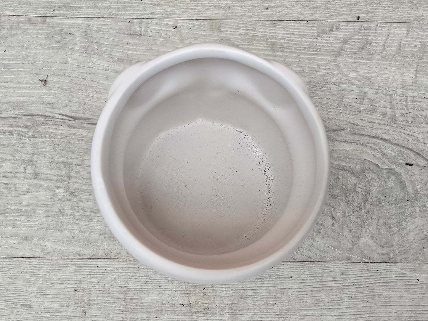 8.5cm Ivory White Elephant Pot with Drop-In Cactus